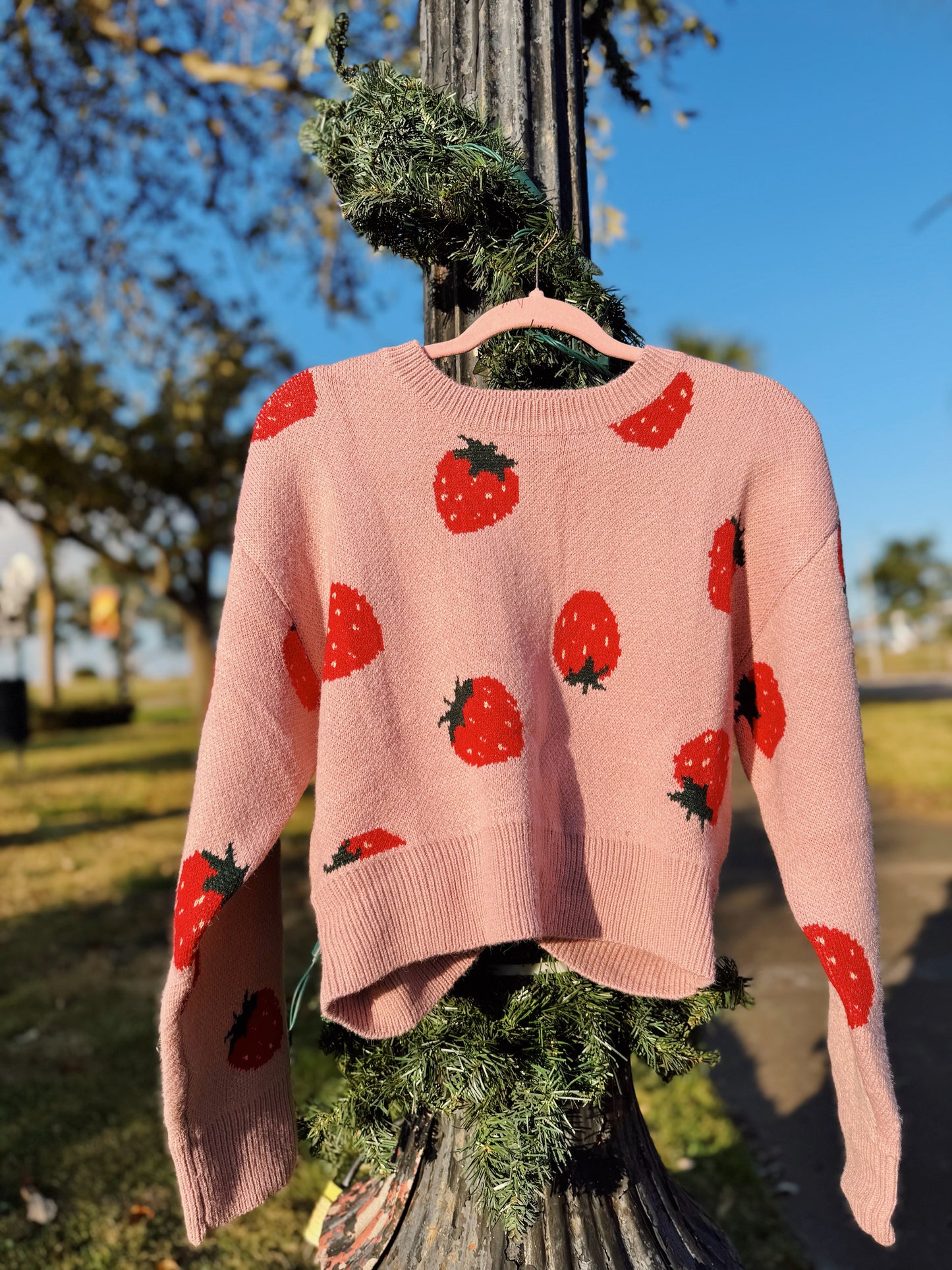 Berry Sweet Blush Long Sleeve Cropped Sweater
